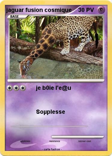 Pokemon jaguar fusion cosmique