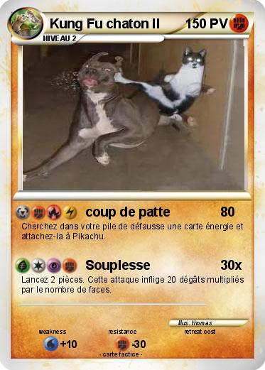 Pokemon Kung Fu chaton II
