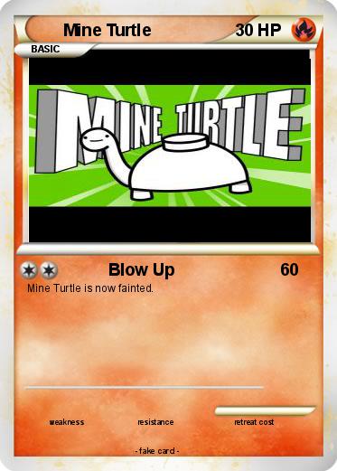 Pokemon Mine Turtle