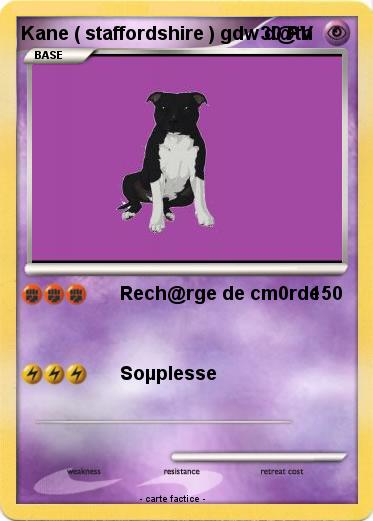 Pokemon Kane ( staffordshire ) gdw d@th
