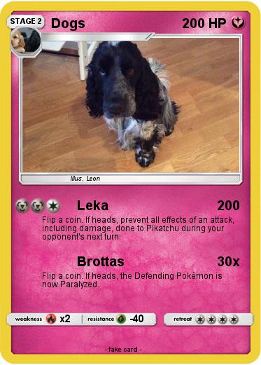 Pokemon Dogs