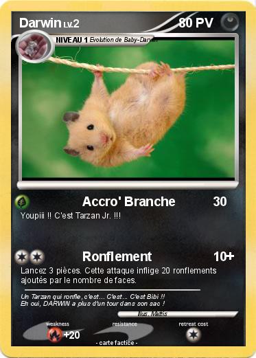 Pokemon Darwin