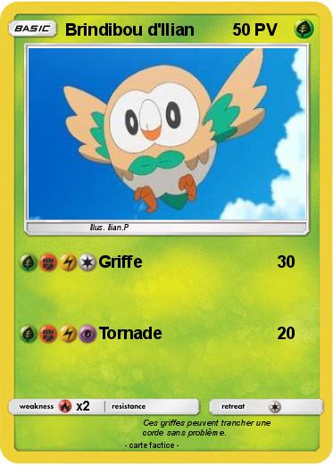 Pokemon Brindibou d'Ilian