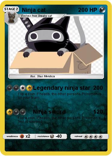 Pokemon Ninja cat