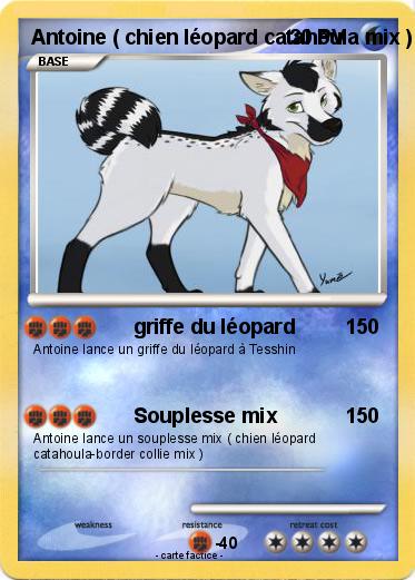 Pokemon Antoine ( chien léopard catahoula mix )
