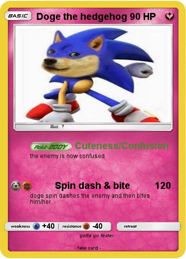 Pokemon Doge the hedgehog
