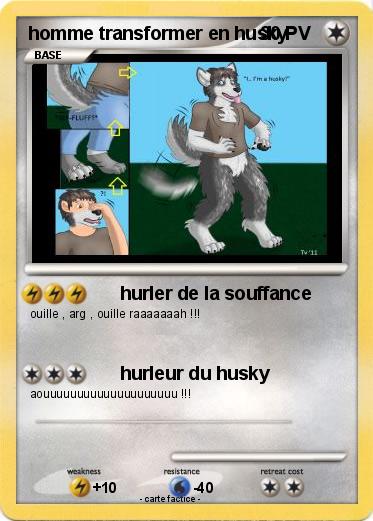 Pokemon homme transformer en husky
