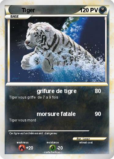 Pokemon Tiger