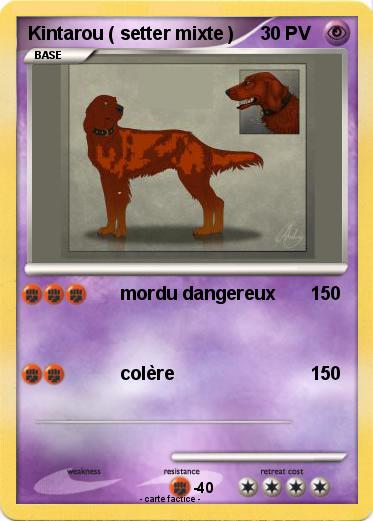 Pokemon Kintarou ( setter mixte )