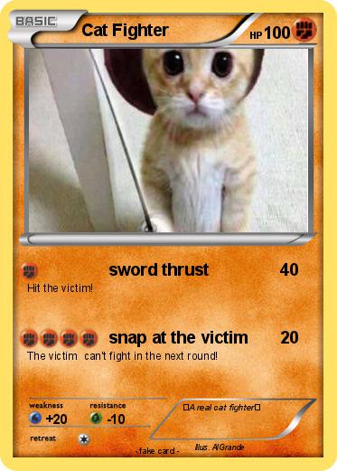 Pokemon Cat Fighter
