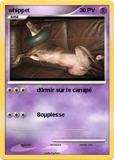Pokemon whippet