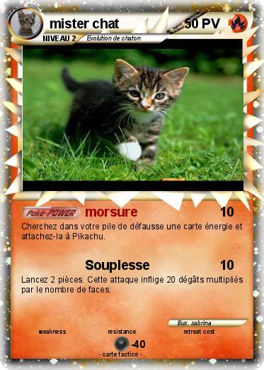Pokemon mister chat