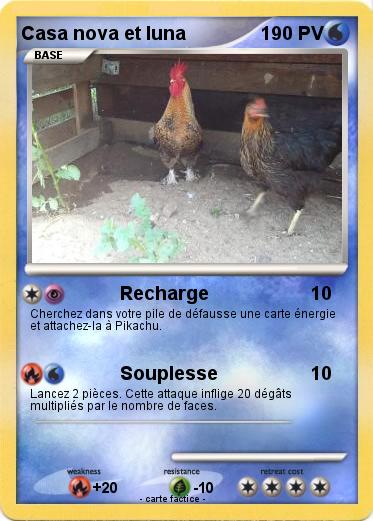 Pokemon Casa nova et luna