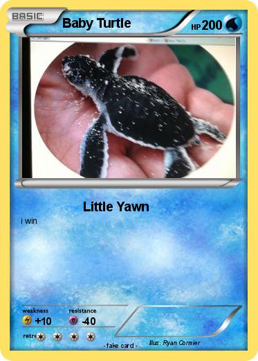 Pokemon Baby Turtle