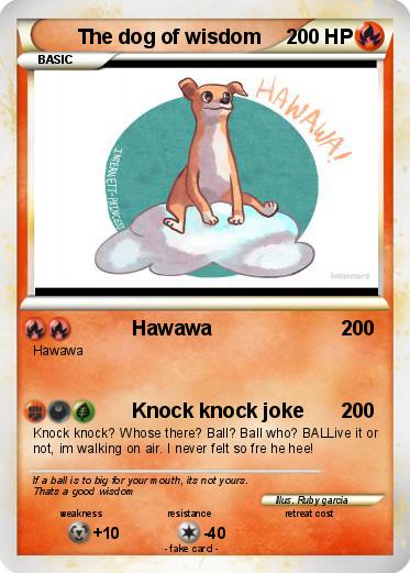 Pokemon The dog of wisdom