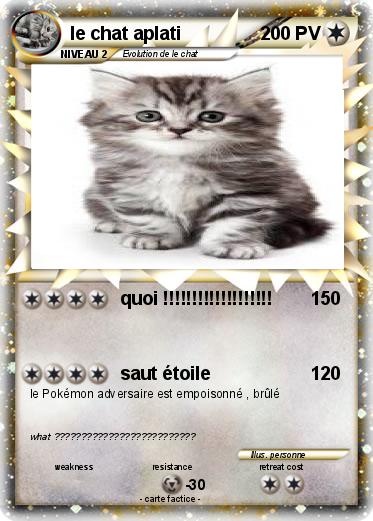 Pokemon le chat aplati