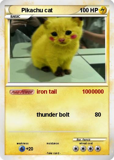 Pokemon Pikachu cat
