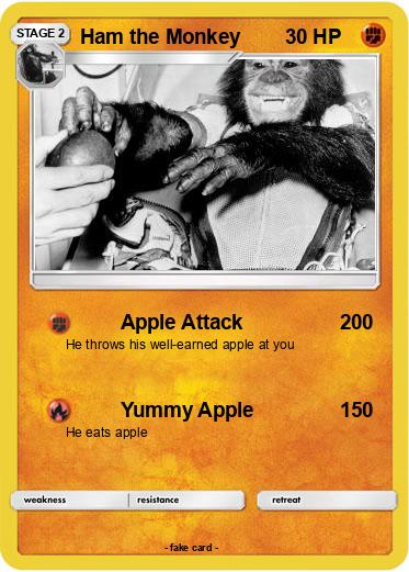 Pokemon Ham the Monkey