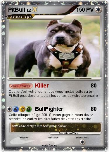 Pokemon PitBull