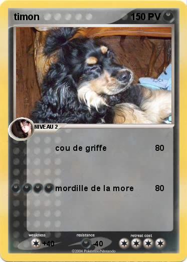 Pokemon timon