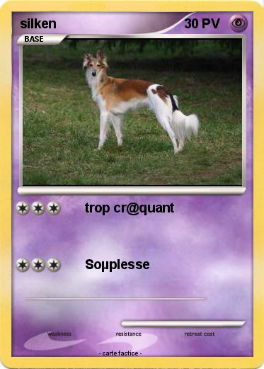 Pokemon silken