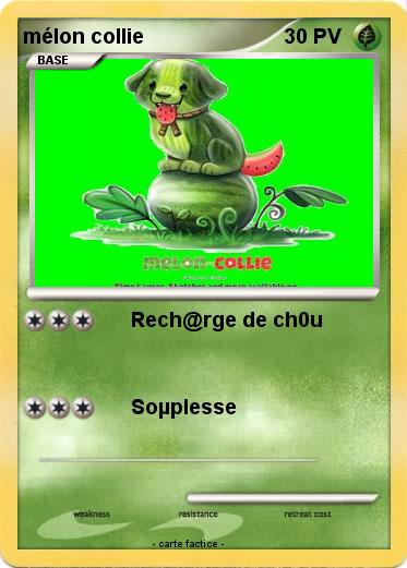 Pokemon mélon collie