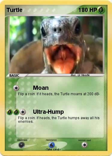 Pokemon Turtle