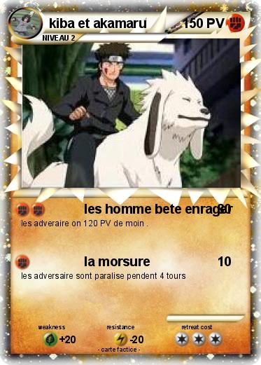 Pokemon kiba et akamaru