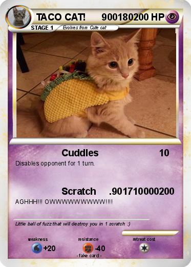 Pokemon TACO CAT!      900180