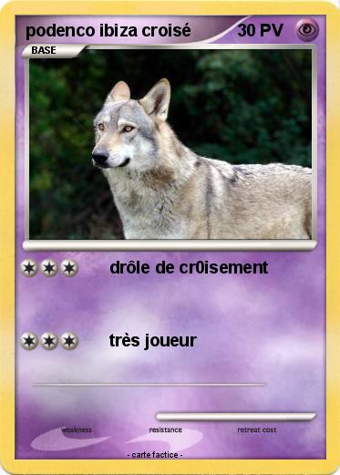 Pokemon podenco ibiza croisé