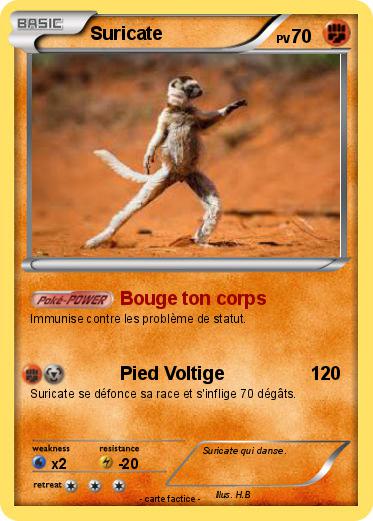 Pokemon Suricate