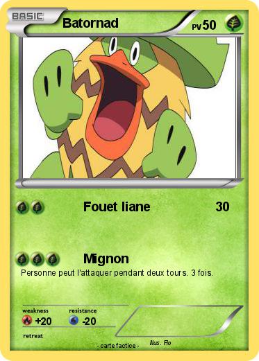 Pokemon Batornad
