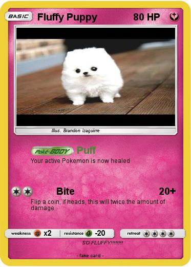 Pokemon Fluffy Puppy