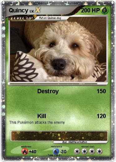 Pokemon Quincy