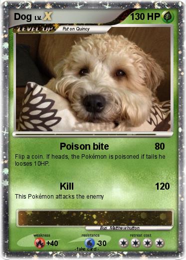 Pokemon Dog