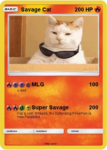 Pokemon Savage Cat