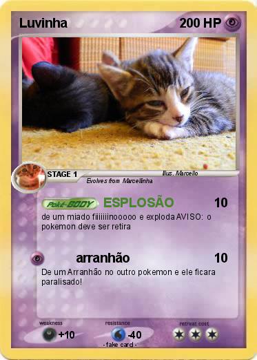 Pokemon Luvinha