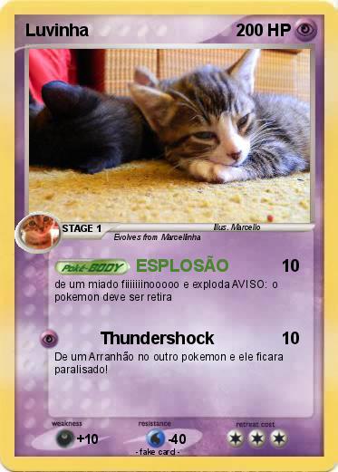 Pokemon Luvinha