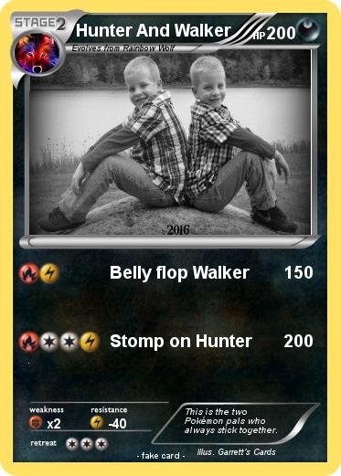 Pokemon Hunter And Walker
