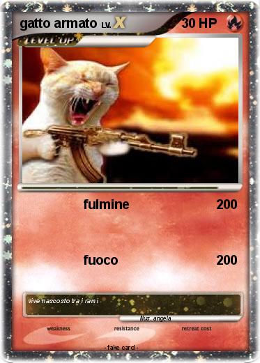 Pokemon gatto armato
