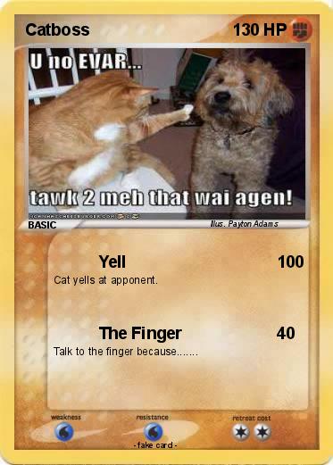 Pokemon Catboss