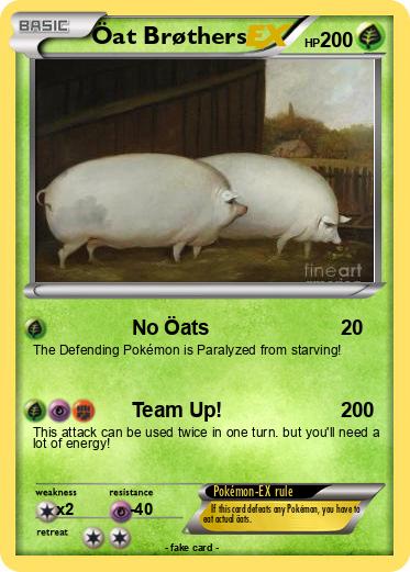 Pokemon Öat Brøthers