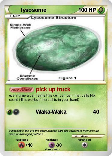 Pokemon lysosome