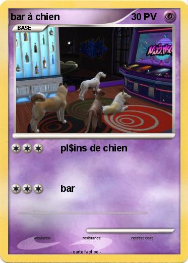Pokemon bar à chien