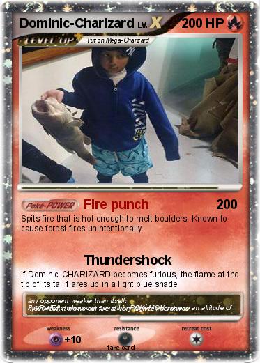 Pokemon Dominic-Charizard