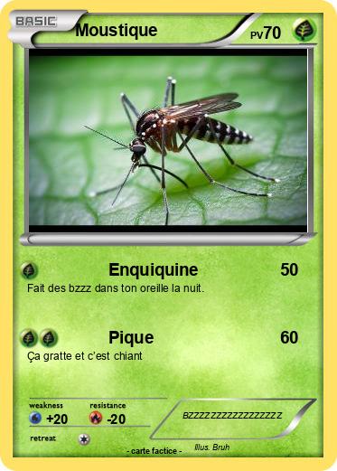 Pokemon Moustique