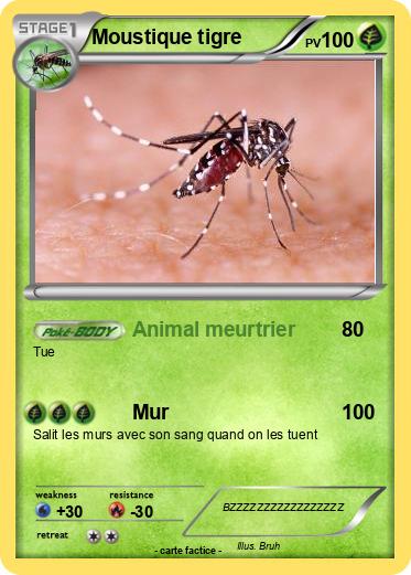 Pokemon Moustique tigre