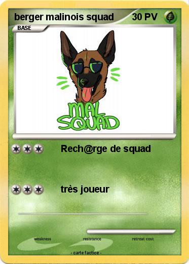 Pokemon berger malinois squad