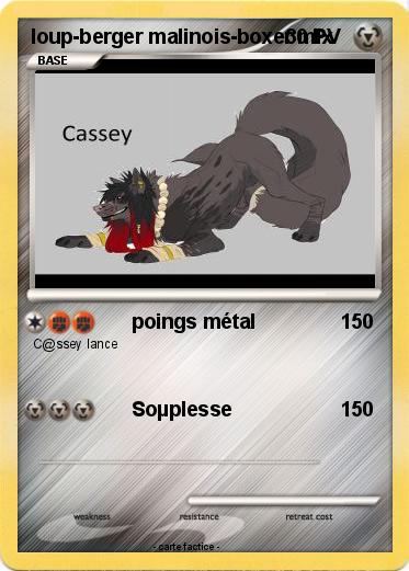 Pokemon loup-berger malinois-boxer mix