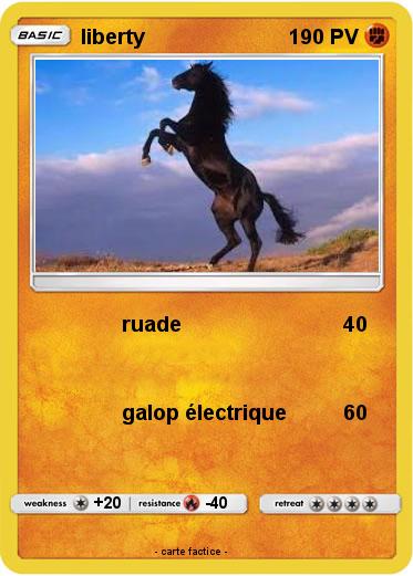 Pokemon liberty